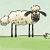 Home Sheep Home