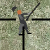 Snipedown