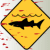 Sydney Shark