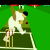 Cricket Game
