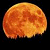Moon Type