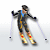 Ski Sim
