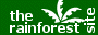 The rainforest site
