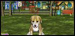 Puppy Luv